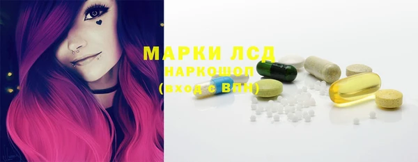 ECSTASY Бородино