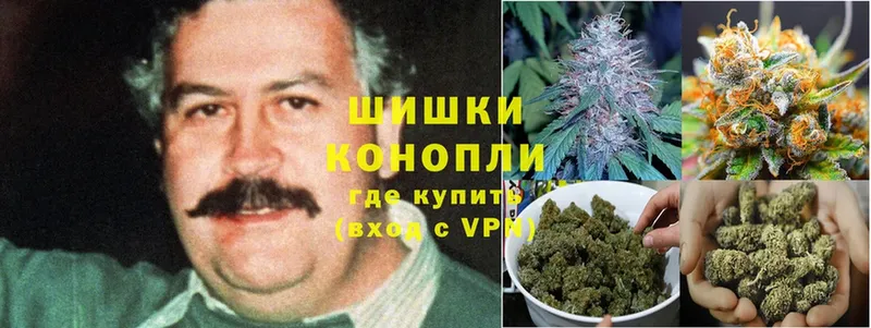 Бошки марихуана OG Kush  ссылка на мегу ТОР  Вязники 